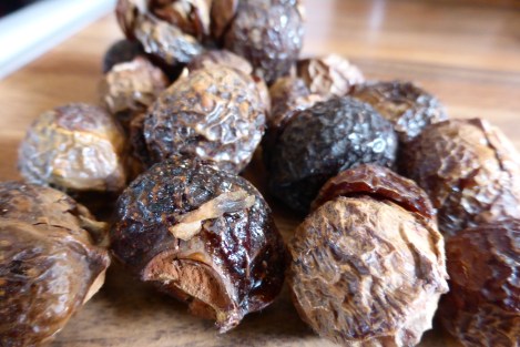Soapnuts