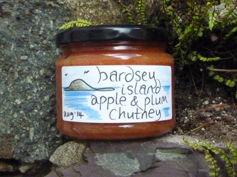 Bardsey Island Apple and Plum Chutney