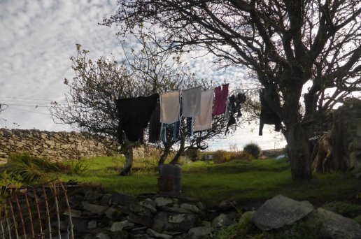 The Beach House Garden bracing itself for the Welsh winter