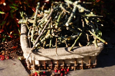 Kindling ready for the fire