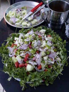 Israeli Salad (The Indian Traveler Classic) ready for action