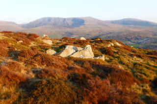 Orange, gold and black, at sunset, Tiger Hill lives up to its name. 