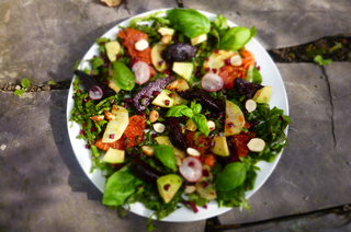 Chargrilled Ruby Grapefruit, Beetroot, and Cobnut Salad with Aronia Berry Dressing