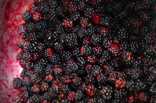 Blackberries.  You can't escape them in Autumn! 