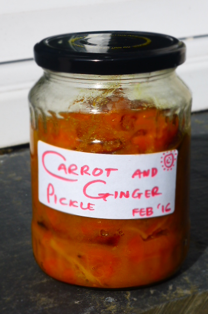 Quick Carrot and Ginger Pickle