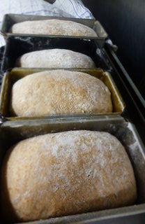 Breakfast loaves at Trigonos, almost ready for the oven