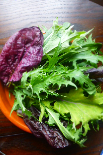 Very simple salad, torn leaves. No need to mess. Delicious!